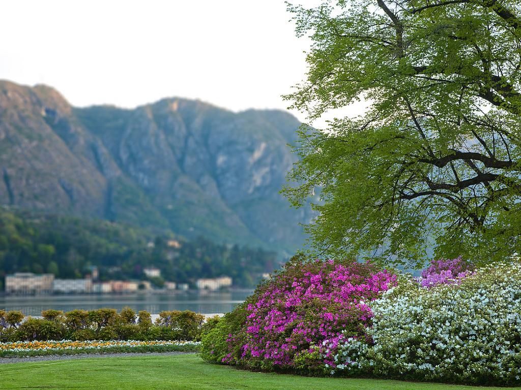 Colibri Lakeview Apartment Bellagio Szoba fotó